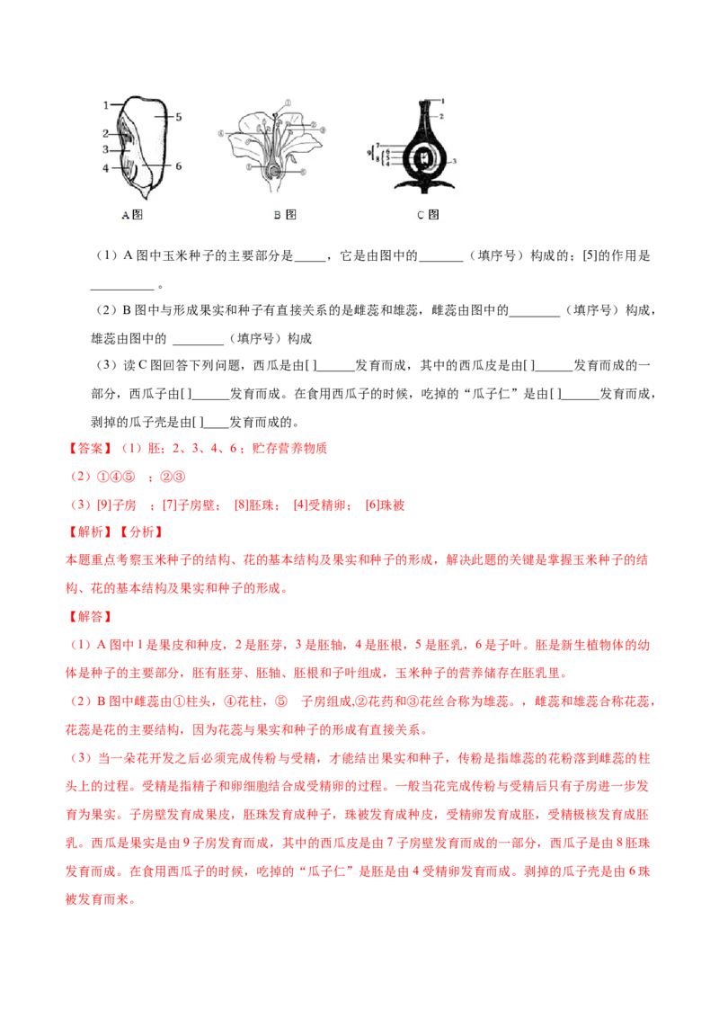 3.2章末检测（解析版）_初中全科电子版试卷练习试题_生物_生物人教版7上练习&mdash;24新版已更新_人教生物7年级上单元试卷36份_第3套七年级生物上册单元试卷（人教版）06份