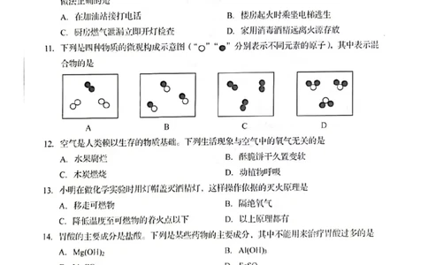 2022青岛化学试卷(PDF版)_山东历年中考真题_山东省历年中考真题2013~2024_初中化学历年真题（2013-2024）