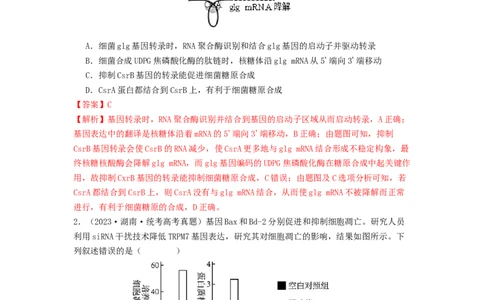 专题14基因的表达（解析版）_通用版（老高考）复习资料_2024年复习资料_完备战2024年高考生物一轮复习抢分特训（全国通用）_教师版（含答案解析）