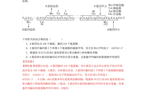 专题14基因的表达（解析版）_通用版（老高考）复习资料_2024年复习资料_完备战2024年高考生物一轮复习抢分特训（全国通用）_教师版（含答案解析）