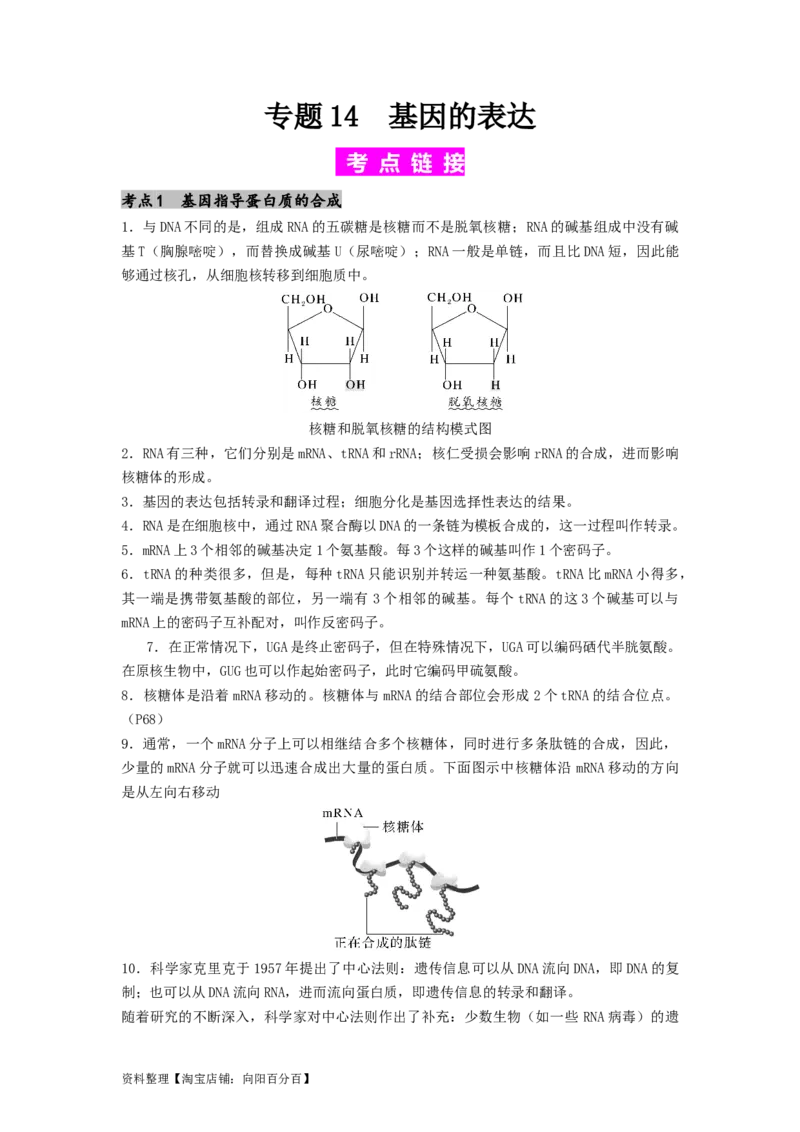 专题14基因的表达（解析版）_通用版（老高考）复习资料_2024年复习资料_完备战2024年高考生物一轮复习抢分特训（全国通用）_教师版（含答案解析）