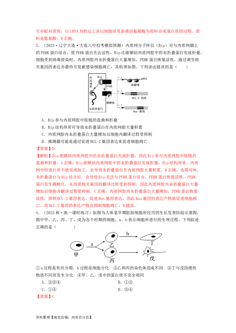 专题14基因的表达（解析版）_通用版（老高考）复习资料_2024年复习资料_完备战2024年高考生物一轮复习抢分特训（全国通用）_教师版（含答案解析）