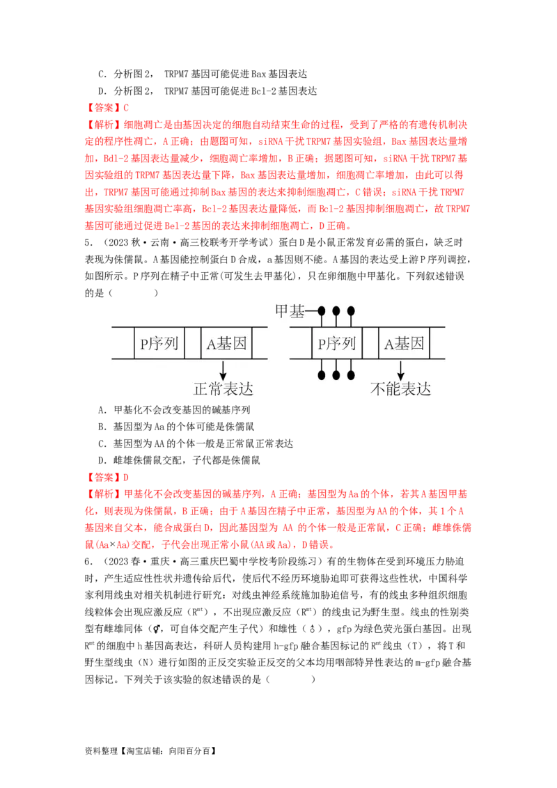 专题14基因的表达（解析版）_通用版（老高考）复习资料_2024年复习资料_完备战2024年高考生物一轮复习抢分特训（全国通用）_教师版（含答案解析）