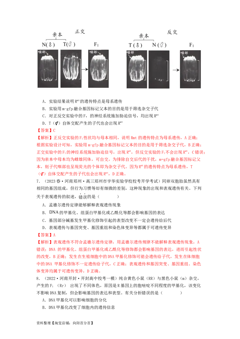 专题14基因的表达（解析版）_通用版（老高考）复习资料_2024年复习资料_完备战2024年高考生物一轮复习抢分特训（全国通用）_教师版（含答案解析）