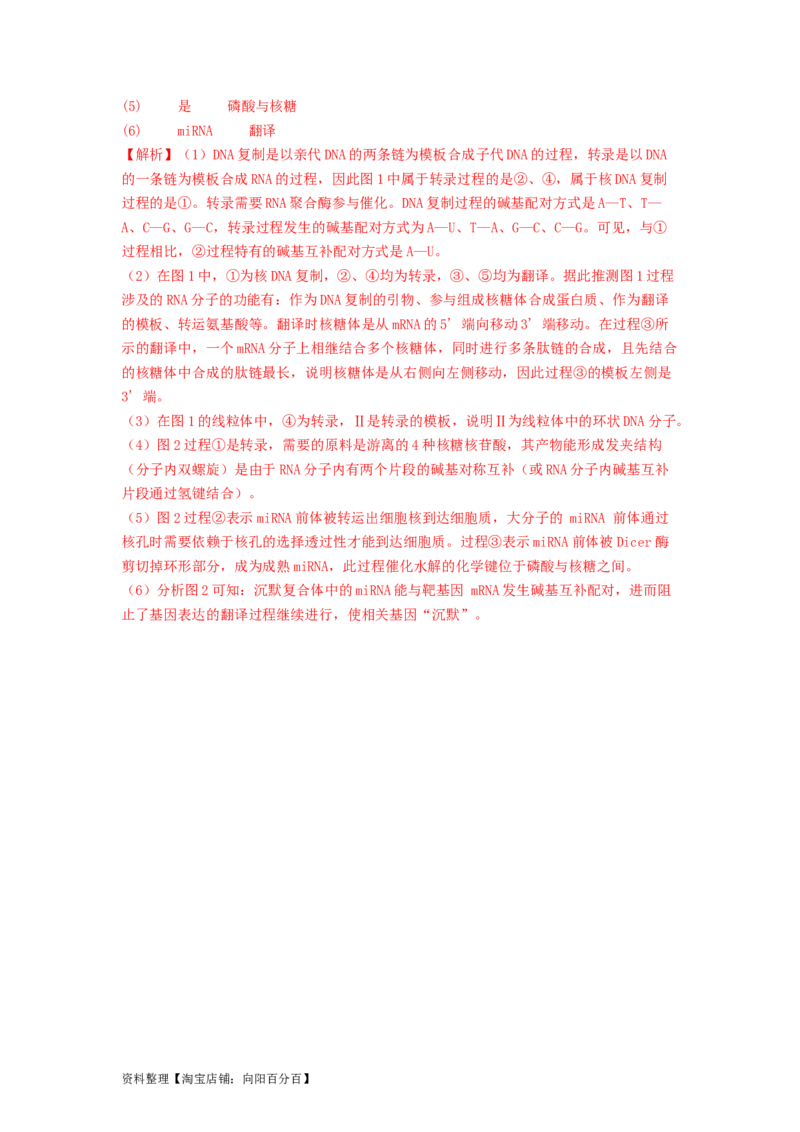 专题14基因的表达（解析版）_通用版（老高考）复习资料_2024年复习资料_完备战2024年高考生物一轮复习抢分特训（全国通用）_教师版（含答案解析）