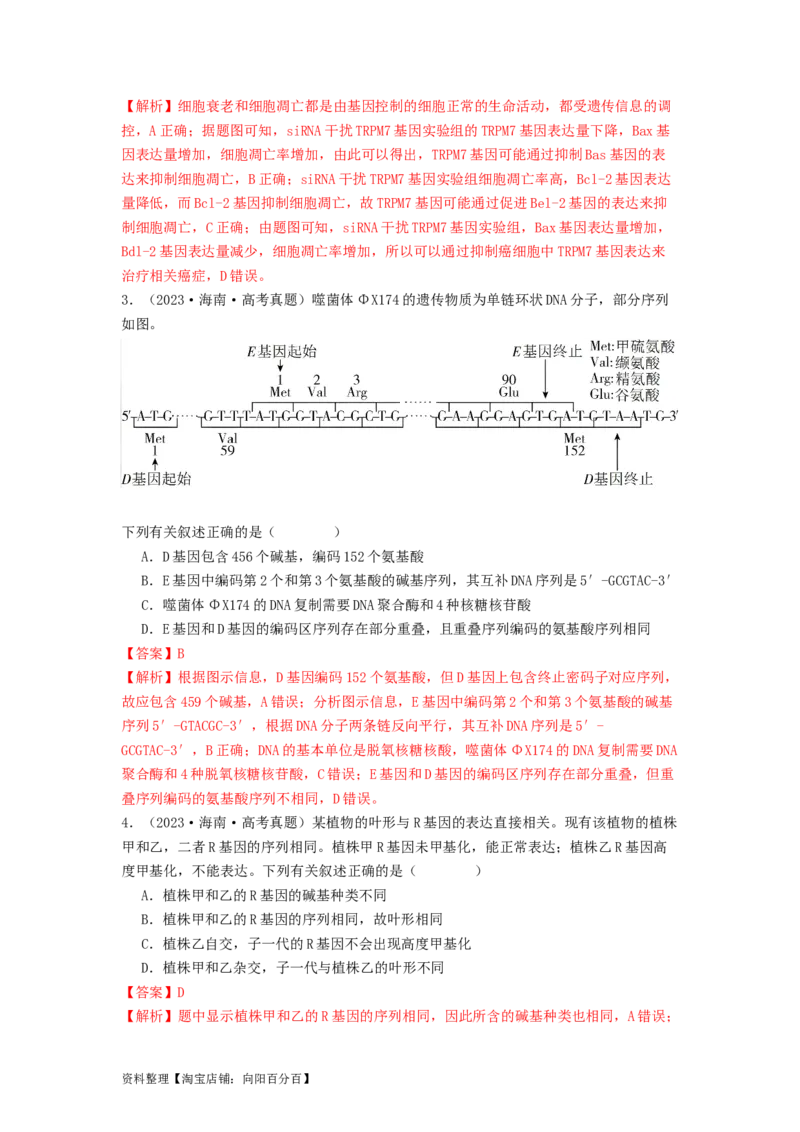 专题14基因的表达（解析版）_通用版（老高考）复习资料_2024年复习资料_完备战2024年高考生物一轮复习抢分特训（全国通用）_教师版（含答案解析）