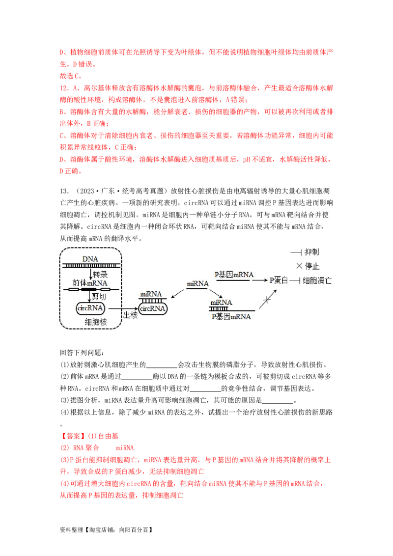 专题14基因的表达（解析版）_通用版（老高考）复习资料_2024年复习资料_完备战2024年高考生物一轮复习抢分特训（全国通用）_教师版（含答案解析）