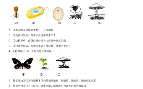 5.4.3真菌（练习）（原卷版）_初中全科电子版试卷练习试题_生物_生物8上练习_人教生物8年级上课时练习37份_第1套八年级生物上册课时练习（人教版）16份