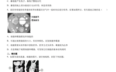 5.4.3真菌（练习）（原卷版）_初中全科电子版试卷练习试题_生物_生物8上练习_人教生物8年级上课时练习37份_第1套八年级生物上册课时练习（人教版）16份