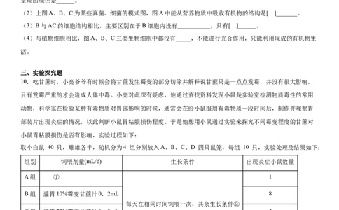 5.4.3真菌（练习）（原卷版）_初中全科电子版试卷练习试题_生物_生物8上练习_人教生物8年级上课时练习37份_第1套八年级生物上册课时练习（人教版）16份