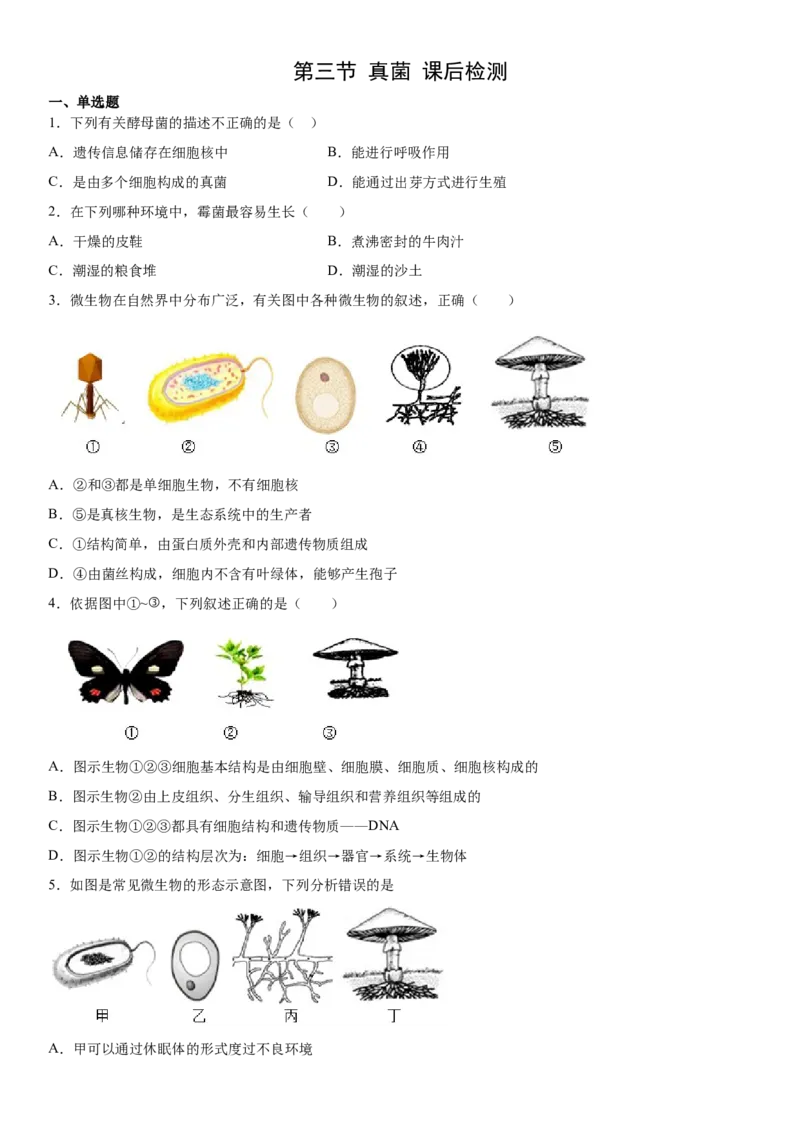 5.4.3真菌（练习）（原卷版）_初中全科电子版试卷练习试题_生物_生物8上练习_人教生物8年级上课时练习37份_第1套八年级生物上册课时练习（人教版）16份