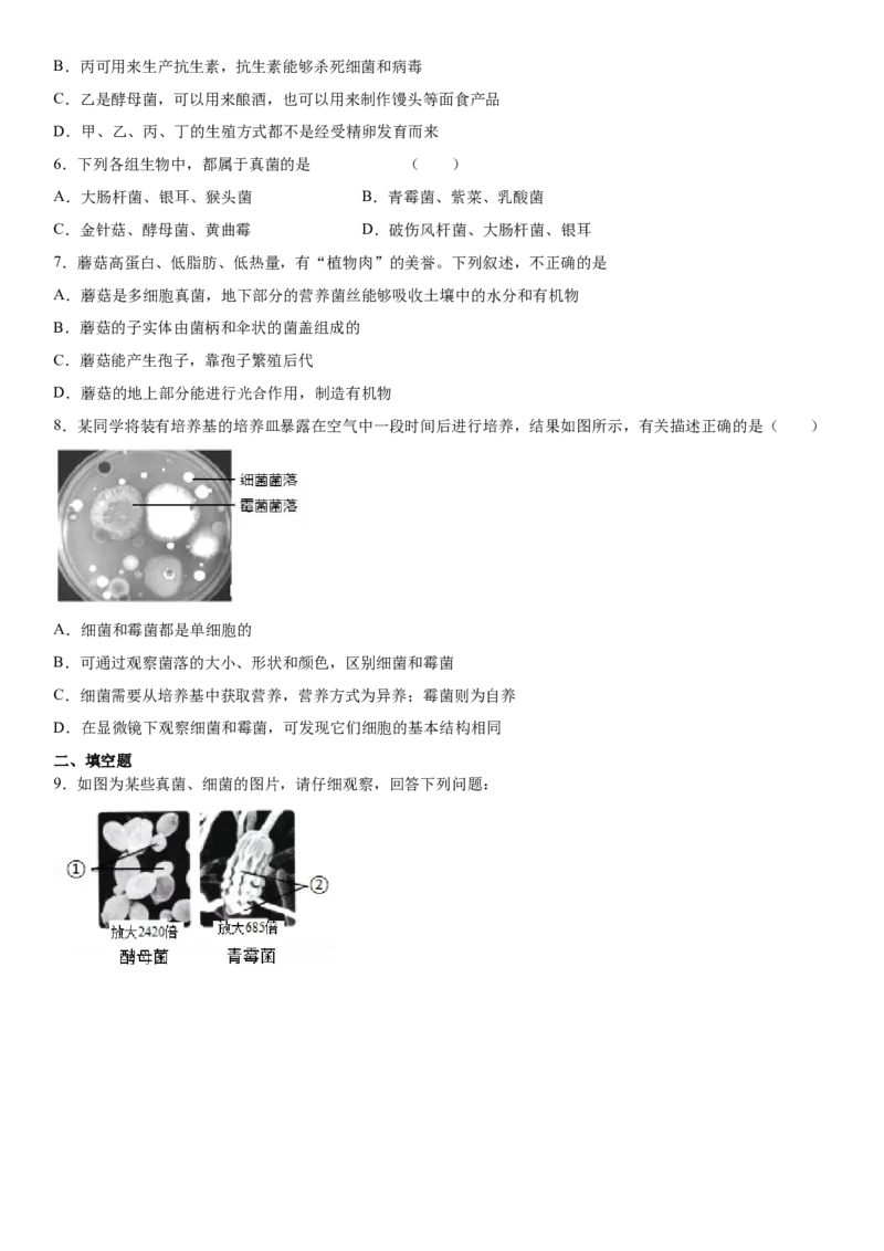 5.4.3真菌（练习）（原卷版）_初中全科电子版试卷练习试题_生物_生物8上练习_人教生物8年级上课时练习37份_第1套八年级生物上册课时练习（人教版）16份