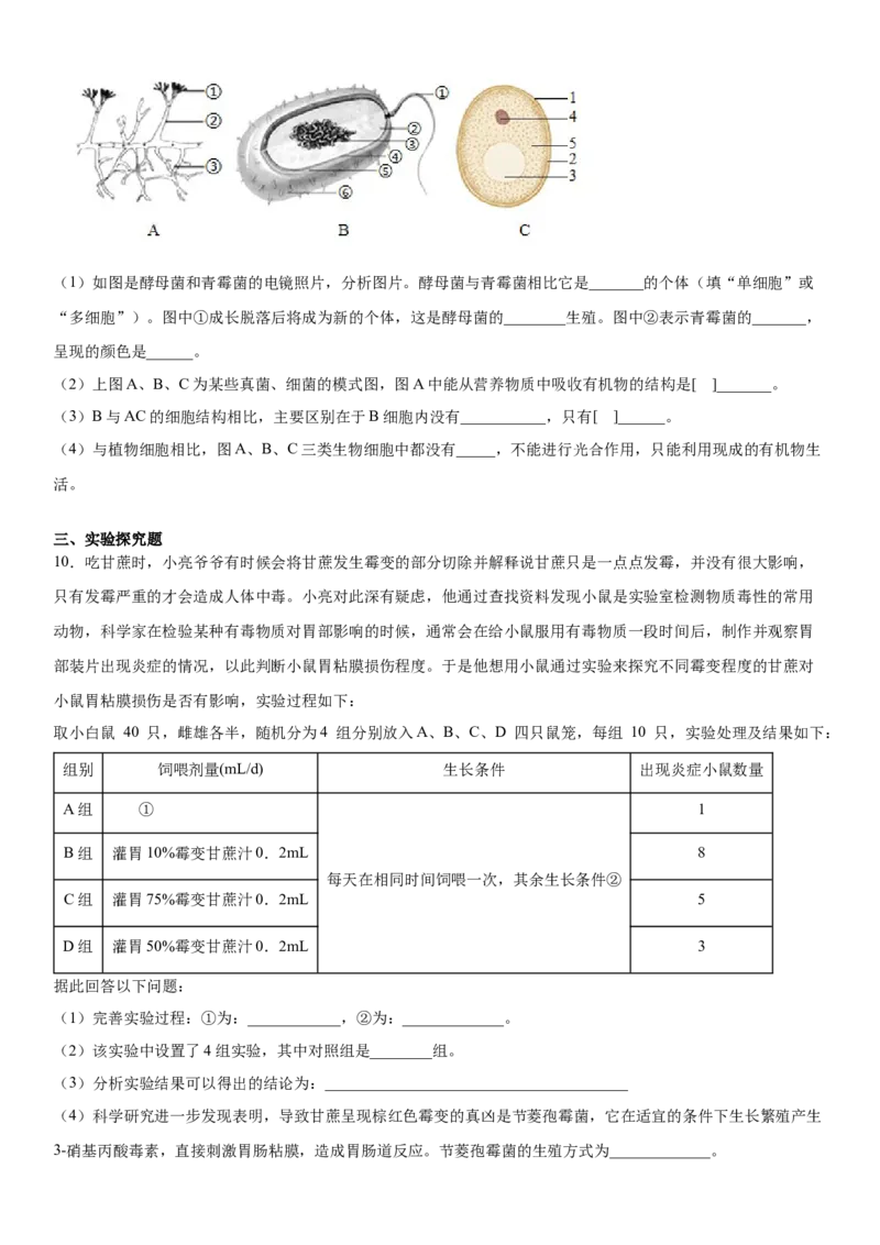 5.4.3真菌（练习）（原卷版）_初中全科电子版试卷练习试题_生物_生物8上练习_人教生物8年级上课时练习37份_第1套八年级生物上册课时练习（人教版）16份