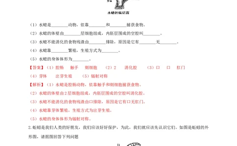 专练04（识图题）-八年级生物上册期中考点必杀题（人教版）（解析版）_初中全科电子版试卷练习试题_生物_生物8上练习_人教生物8年级上专项练习23份