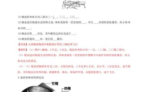 专练04（识图题）-八年级生物上册期中考点必杀题（人教版）（解析版）_初中全科电子版试卷练习试题_生物_生物8上练习_人教生物8年级上专项练习23份