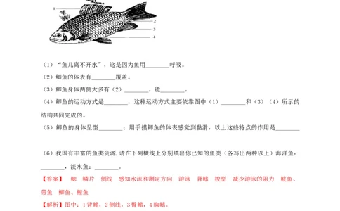专练04（识图题）-八年级生物上册期中考点必杀题（人教版）（解析版）_初中全科电子版试卷练习试题_生物_生物8上练习_人教生物8年级上专项练习23份