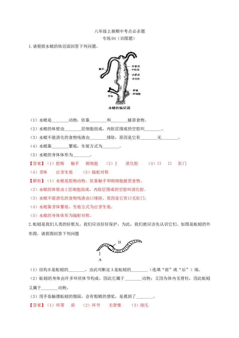 专练04（识图题）-八年级生物上册期中考点必杀题（人教版）（解析版）_初中全科电子版试卷练习试题_生物_生物8上练习_人教生物8年级上专项练习23份