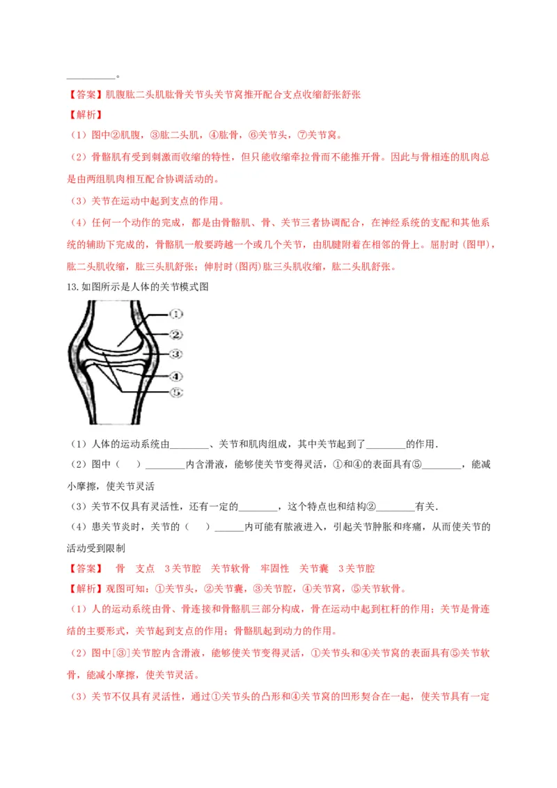 专练04（识图题）-八年级生物上册期中考点必杀题（人教版）（解析版）_初中全科电子版试卷练习试题_生物_生物8上练习_人教生物8年级上专项练习23份