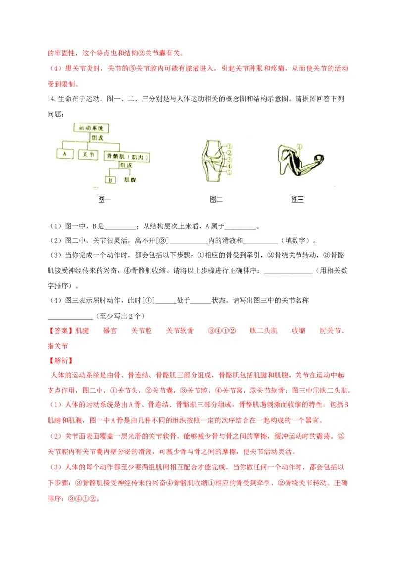 专练04（识图题）-八年级生物上册期中考点必杀题（人教版）（解析版）_初中全科电子版试卷练习试题_生物_生物8上练习_人教生物8年级上专项练习23份