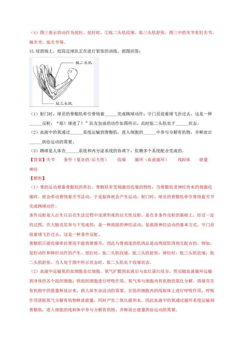 专练04（识图题）-八年级生物上册期中考点必杀题（人教版）（解析版）_初中全科电子版试卷练习试题_生物_生物8上练习_人教生物8年级上专项练习23份