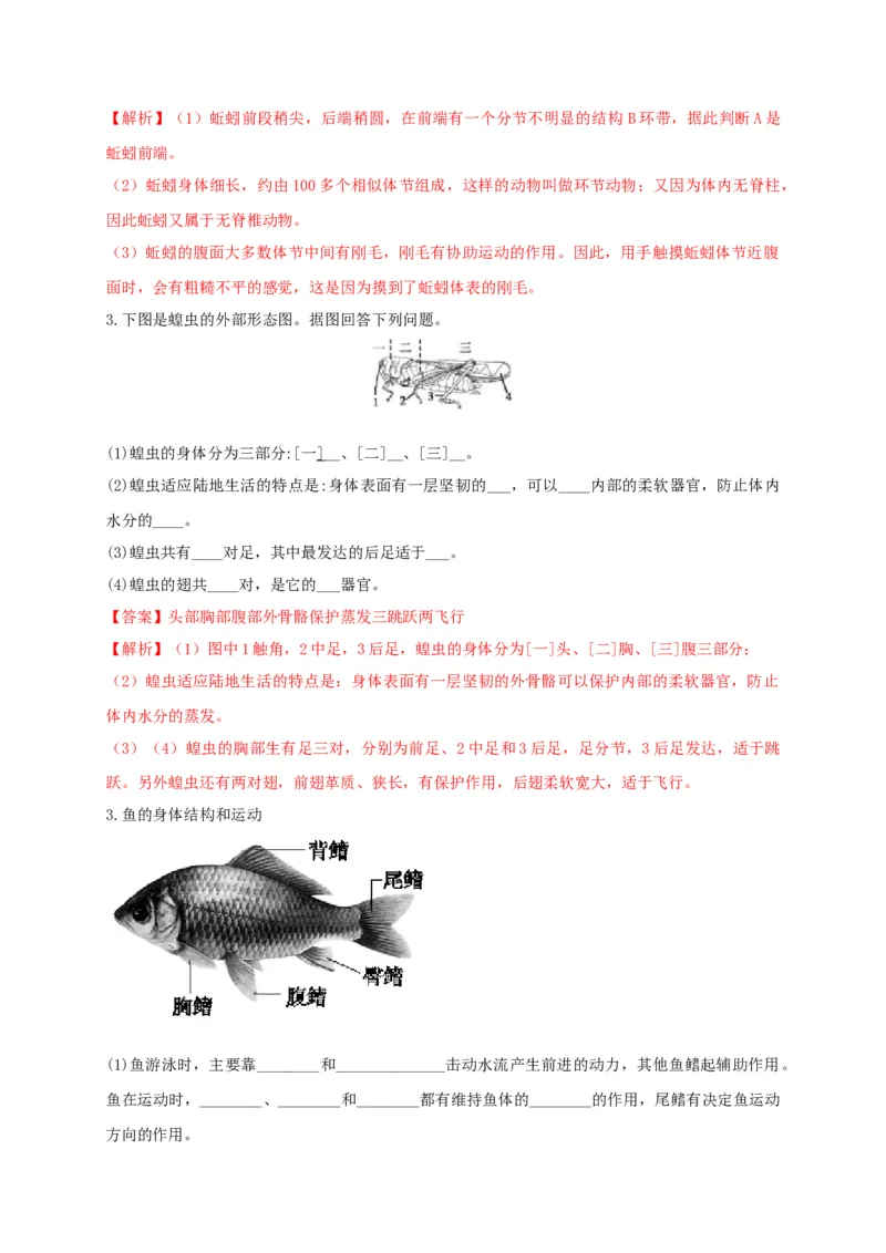 专练04（识图题）-八年级生物上册期中考点必杀题（人教版）（解析版）_初中全科电子版试卷练习试题_生物_生物8上练习_人教生物8年级上专项练习23份