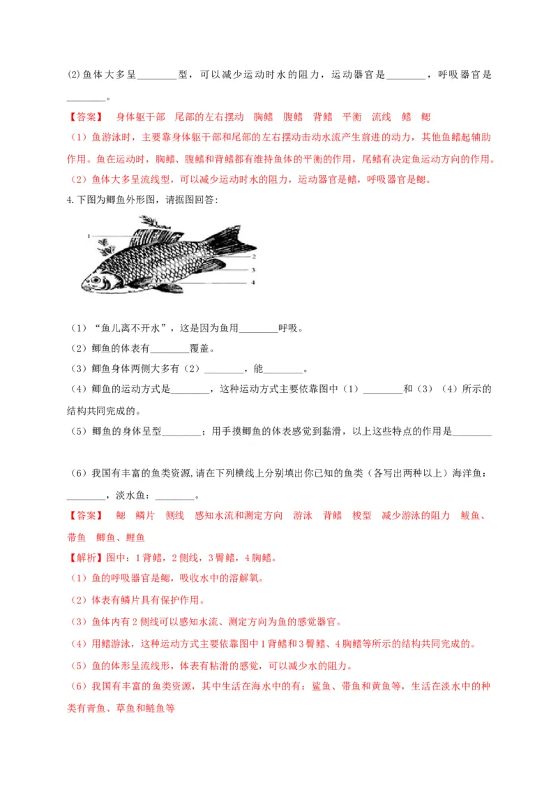 专练04（识图题）-八年级生物上册期中考点必杀题（人教版）（解析版）_初中全科电子版试卷练习试题_生物_生物8上练习_人教生物8年级上专项练习23份