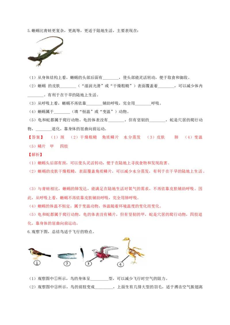 专练04（识图题）-八年级生物上册期中考点必杀题（人教版）（解析版）_初中全科电子版试卷练习试题_生物_生物8上练习_人教生物8年级上专项练习23份