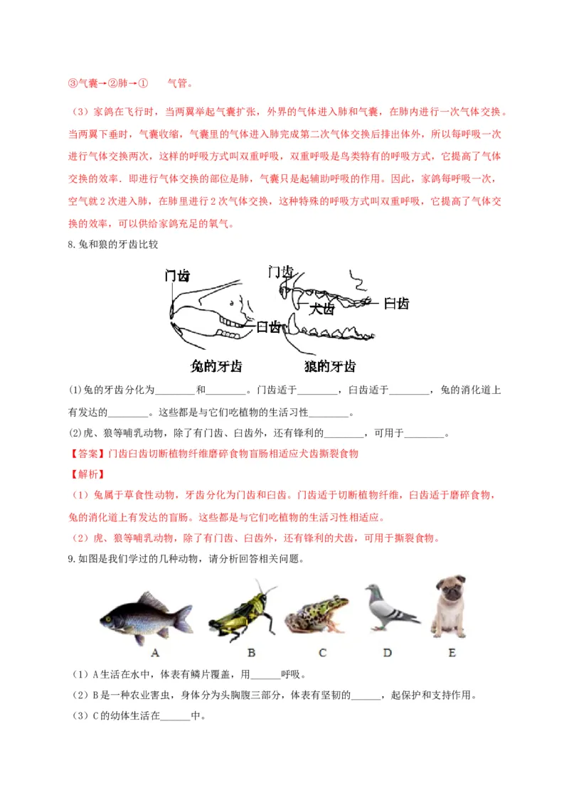 专练04（识图题）-八年级生物上册期中考点必杀题（人教版）（解析版）_初中全科电子版试卷练习试题_生物_生物8上练习_人教生物8年级上专项练习23份