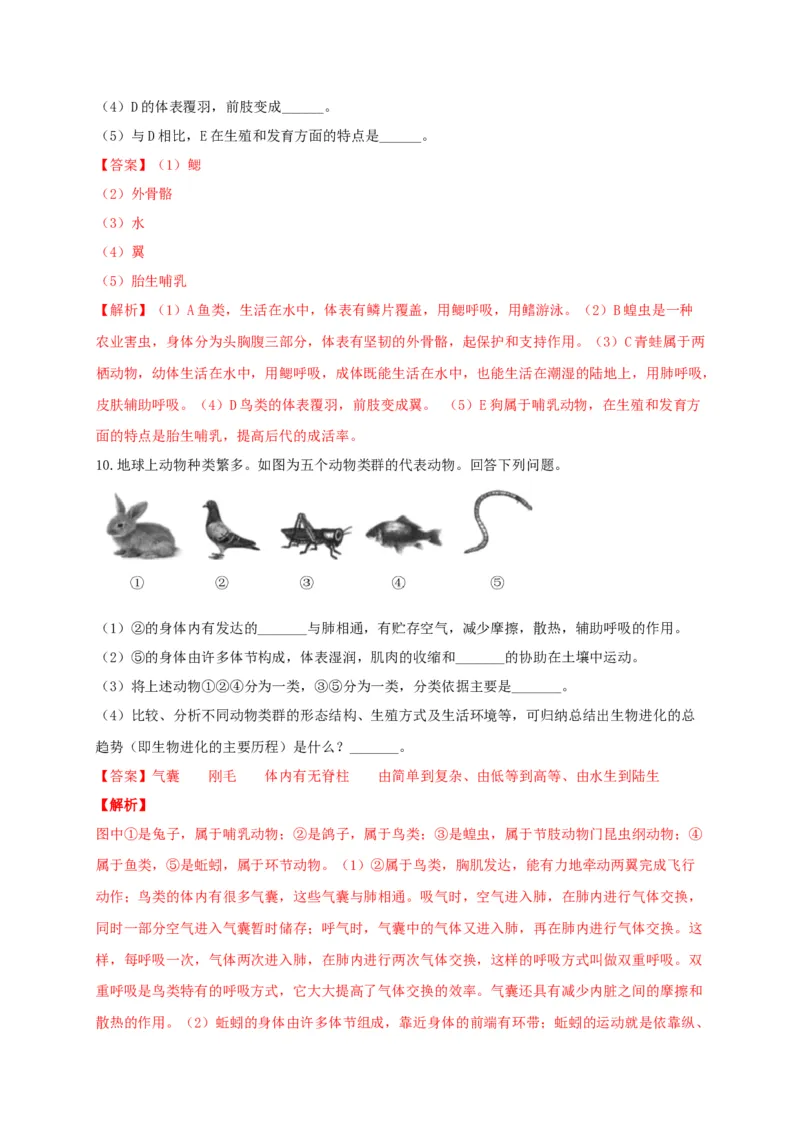 专练04（识图题）-八年级生物上册期中考点必杀题（人教版）（解析版）_初中全科电子版试卷练习试题_生物_生物8上练习_人教生物8年级上专项练习23份