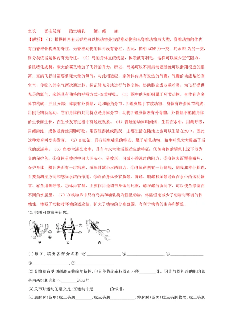 专练04（识图题）-八年级生物上册期中考点必杀题（人教版）（解析版）_初中全科电子版试卷练习试题_生物_生物8上练习_人教生物8年级上专项练习23份