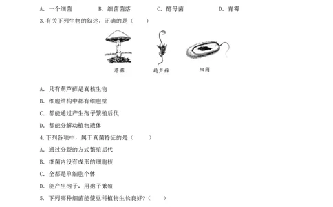 5.4.3真菌（备作业）-（人教版）（原卷版）_初中全科电子版试卷练习试题_生物_生物8上练习_人教生物8年级上课时练习37份_第2套八年级生物上册课时练习（人教版）21份