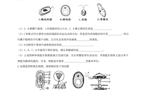 5.4.3真菌（备作业）-（人教版）（原卷版）_初中全科电子版试卷练习试题_生物_生物8上练习_人教生物8年级上课时练习37份_第2套八年级生物上册课时练习（人教版）21份