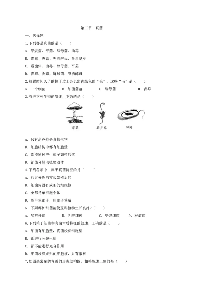 5.4.3真菌（备作业）-（人教版）（原卷版）_初中全科电子版试卷练习试题_生物_生物8上练习_人教生物8年级上课时练习37份_第2套八年级生物上册课时练习（人教版）21份