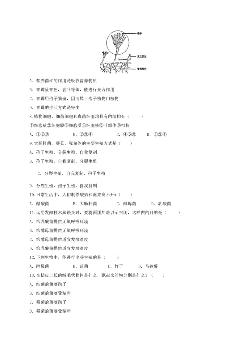 5.4.3真菌（备作业）-（人教版）（原卷版）_初中全科电子版试卷练习试题_生物_生物8上练习_人教生物8年级上课时练习37份_第2套八年级生物上册课时练习（人教版）21份