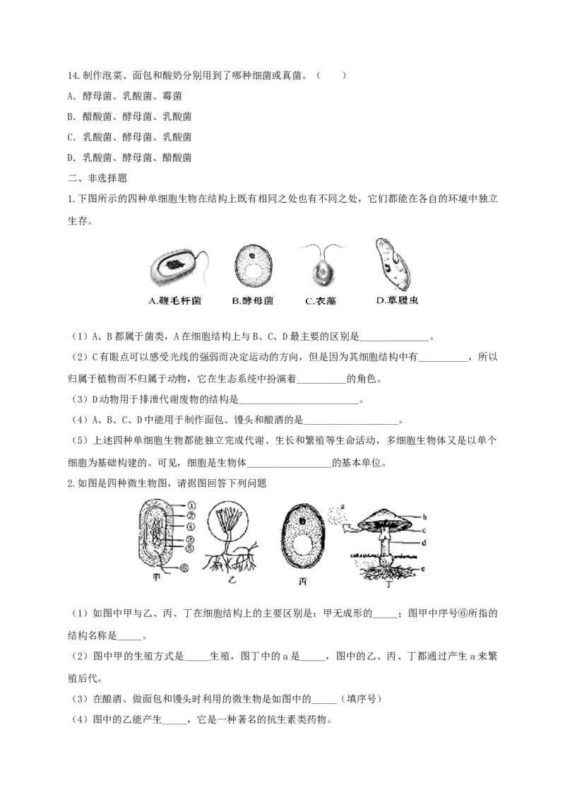 5.4.3真菌（备作业）-（人教版）（原卷版）_初中全科电子版试卷练习试题_生物_生物8上练习_人教生物8年级上课时练习37份_第2套八年级生物上册课时练习（人教版）21份