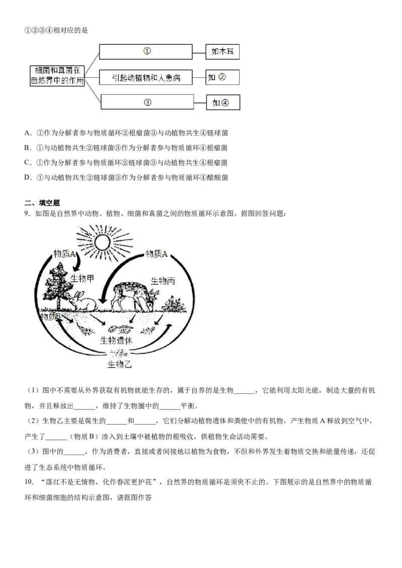 5.4.4细菌和真菌在自然界中的作用（练习）（原卷版）_初中全科电子版试卷练习试题_生物_生物8上练习_人教生物8年级上课时练习37份