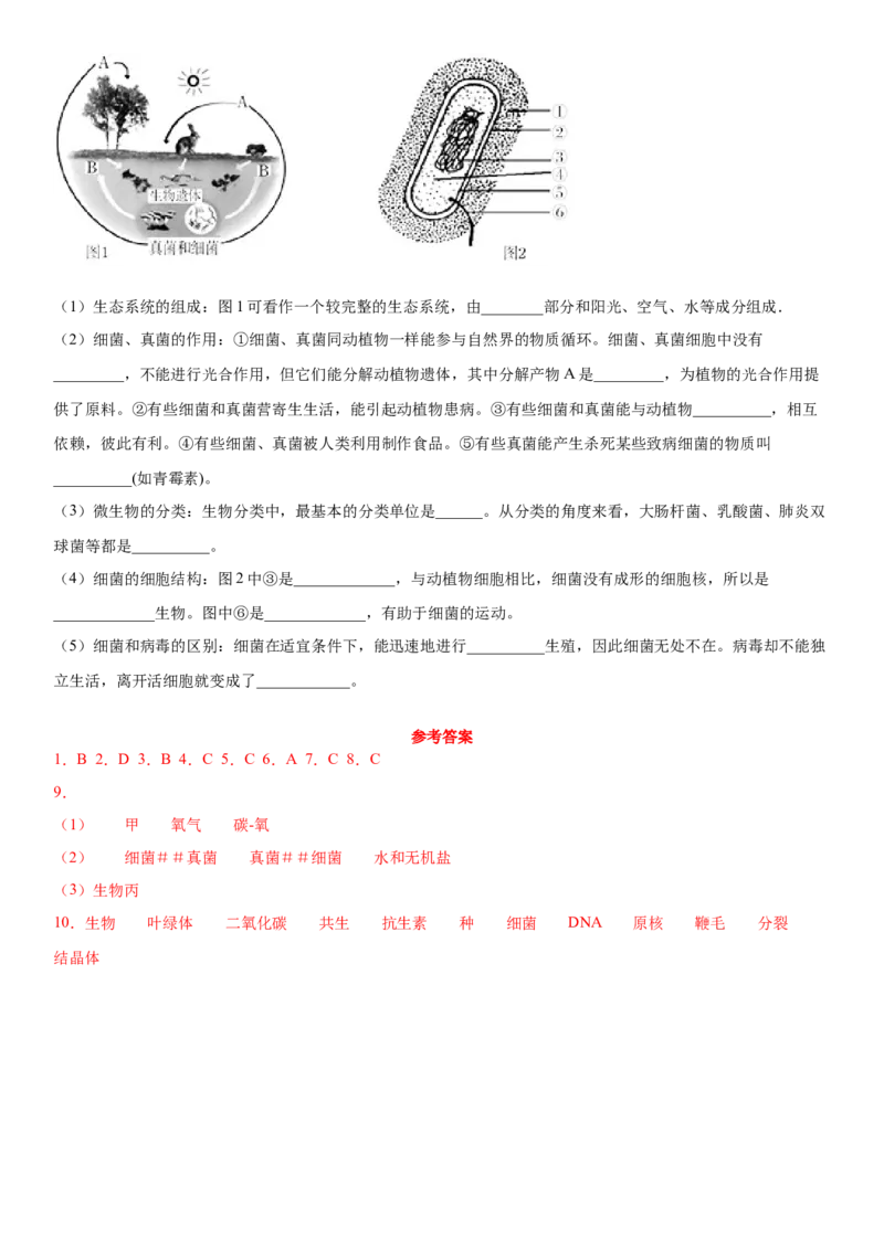5.4.4细菌和真菌在自然界中的作用（练习）（原卷版）_初中全科电子版试卷练习试题_生物_生物8上练习_人教生物8年级上课时练习37份