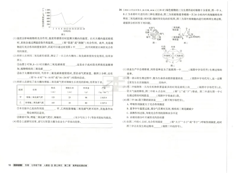 2025春53初中试卷生物人教版7年级下册_初中全科电子版试卷练习试题_初中全科《53中考试卷》2025版（多版本）_2025春53初中试卷7年级下册人教版(1)