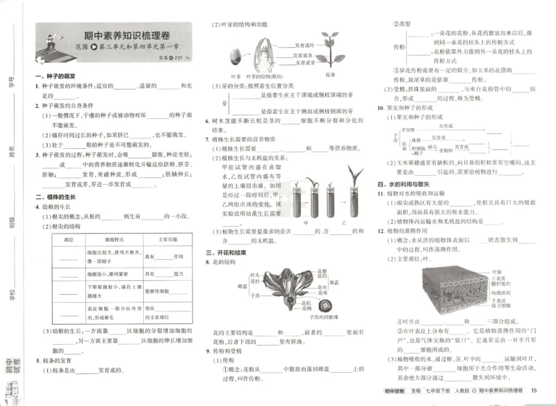 2025春53初中试卷生物人教版7年级下册_初中全科电子版试卷练习试题_初中全科《53中考试卷》2025版（多版本）_2025春53初中试卷7年级下册人教版(1)