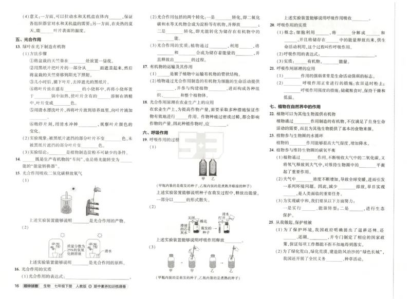 2025春53初中试卷生物人教版7年级下册_初中全科电子版试卷练习试题_初中全科《53中考试卷》2025版（多版本）_2025春53初中试卷7年级下册人教版(1)