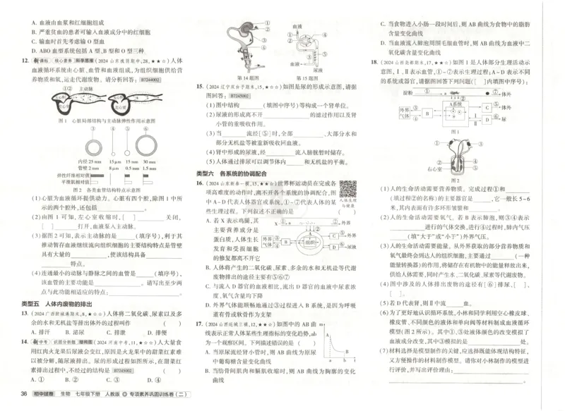 2025春53初中试卷生物人教版7年级下册_初中全科电子版试卷练习试题_初中全科《53中考试卷》2025版（多版本）_2025春53初中试卷7年级下册人教版(1)