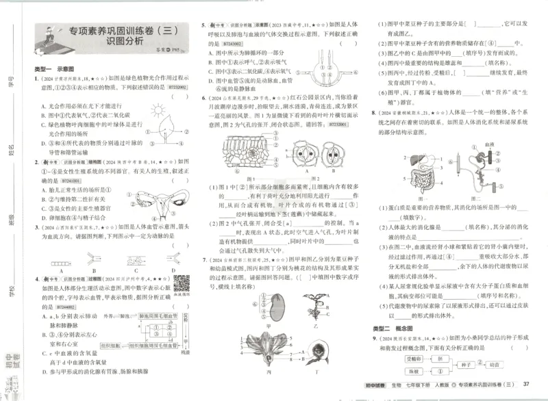 2025春53初中试卷生物人教版7年级下册_初中全科电子版试卷练习试题_初中全科《53中考试卷》2025版（多版本）_2025春53初中试卷7年级下册人教版(1)