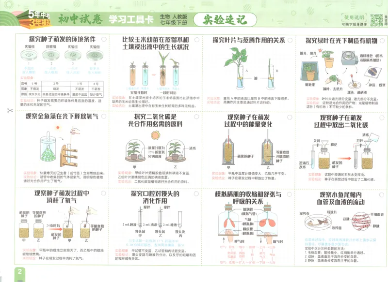 2025春53初中试卷生物人教版7年级下册_初中全科电子版试卷练习试题_初中全科《53中考试卷》2025版（多版本）_2025春53初中试卷7年级下册人教版(1)