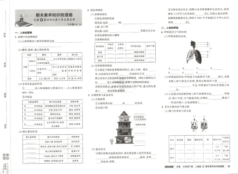 2025春53初中试卷生物人教版7年级下册_初中全科电子版试卷练习试题_初中全科《53中考试卷》2025版（多版本）_2025春53初中试卷7年级下册人教版(1)