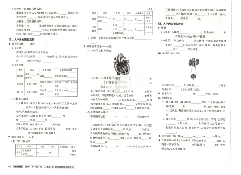 2025春53初中试卷生物人教版7年级下册_初中全科电子版试卷练习试题_初中全科《53中考试卷》2025版（多版本）_2025春53初中试卷7年级下册人教版(1)