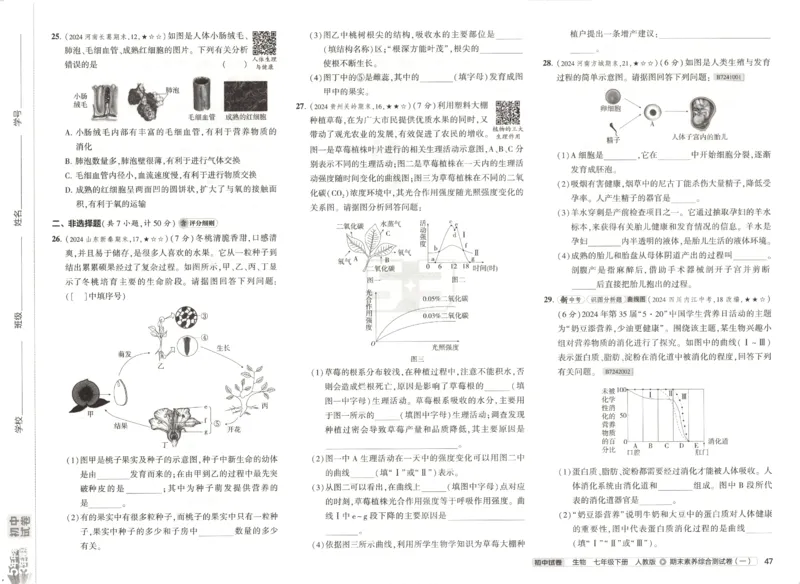 2025春53初中试卷生物人教版7年级下册_初中全科电子版试卷练习试题_初中全科《53中考试卷》2025版（多版本）_2025春53初中试卷7年级下册人教版(1)