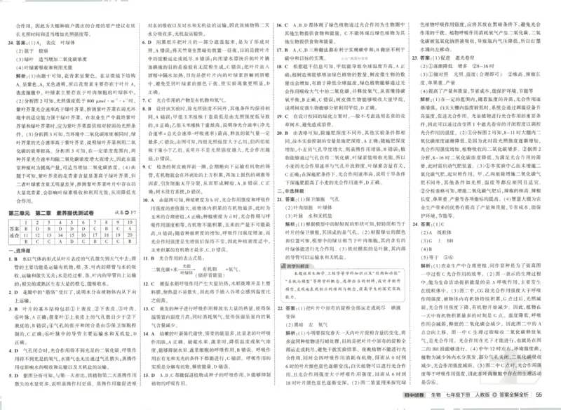 2025春53初中试卷生物人教版7年级下册_初中全科电子版试卷练习试题_初中全科《53中考试卷》2025版（多版本）_2025春53初中试卷7年级下册人教版(1)