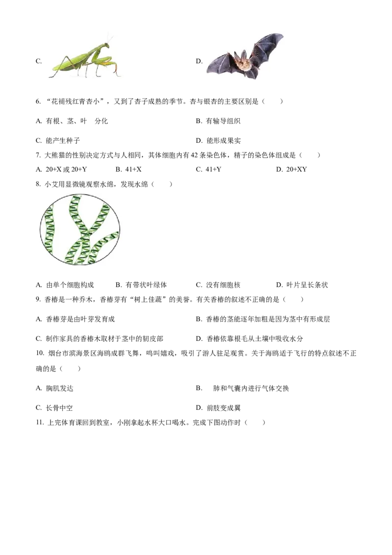 2024年山东省烟台市中考生物真题（原卷版）(1)_山东历年中考真题_山东省历年中考真题2013~2024_初中生物历年真题（2013-2024）