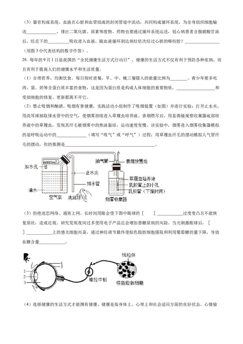 2024年山东省烟台市中考生物真题（原卷版）(1)_山东历年中考真题_山东省历年中考真题2013~2024_初中生物历年真题（2013-2024）