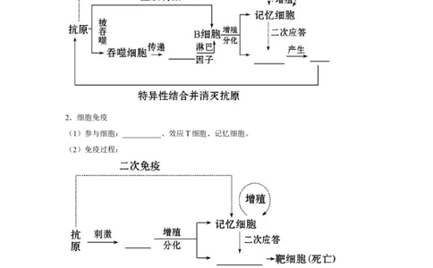 专题25免疫调节（学生版）_新高考复习资料_2023年新高考复习资料_二轮复习_增分要点2023高考生物二轮复习专题解读和分层训练291073137_专题25免疫调节
